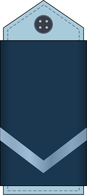 04.EAF-SGT.svg