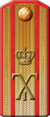 Senior Officer