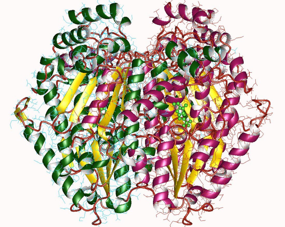 Glucose-6-phosphate isomérase