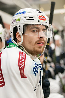 Miha Verlič Slovenian ice hockey player