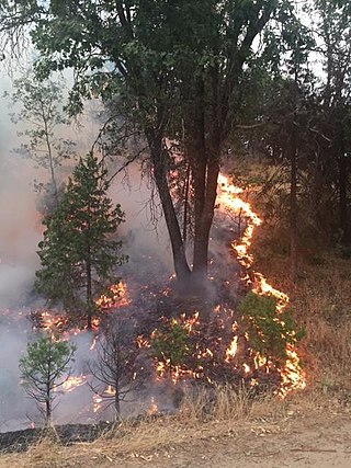 <span class="mw-page-title-main">Mission Fire</span> 2017 wildfire in Central California