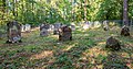 Deutsch: Jüdischer Friedhof beim Dörzbacher Ortsteil Laibach English: Jewish cemetery near Dörzbach-Laibach, Germany