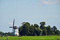 molen de olifant (Burdaard)