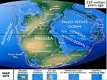 Reconstruction moderne de la Pangée (il y a 237 millions d'années). La collision entre la Laurussia et le Gondwana à l'origine de ce supercontinent est le moteur de l'orogène varisque (variscan or. sur la carte) dont l'empreinte subsiste notamment à travers l'Europe (dessinant un V dont la pointe serait le Massif central).