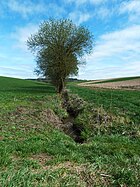 Field margins in Upper Swabia, Ditches in Germany