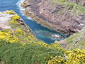 Cap Frehel-Über 70m ragt das Cap Frehel aus dem Meer empor-Cote de Emeraude,Village Plevenon im Departement Cote de Armor,Region Bretagne.