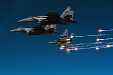 Stíhací letouny McDonnell Douglas F-15E Strike Eagle 335. stíhací squadrony (podřízená 4. stíhacímu křídlu)