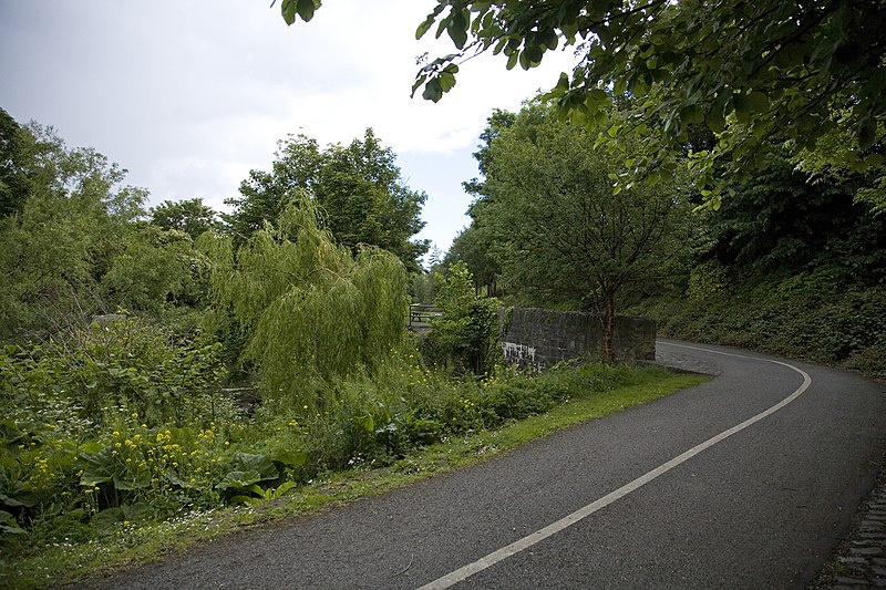 File:AFTER THE STORM - ON THE BANKS OF THE DODDER (518612269).jpg