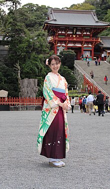 Traditional Hakama Shita Kimono / Gi Top - Samurai Hakama Top