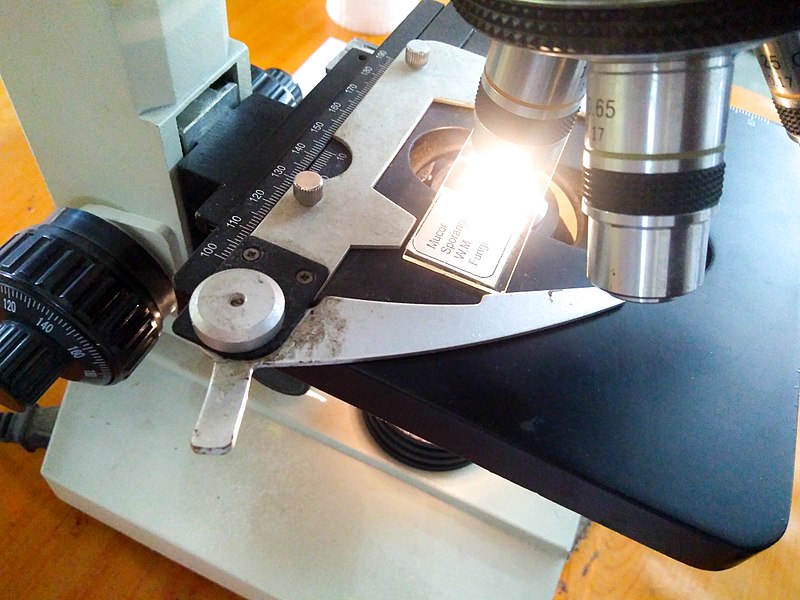 File:A compound microscope at my university lab.jpg