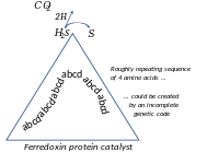 Ferredoxin catalyses the splitting of hydrogen sulphide, its earliest repeating amino acid sequence perhaps coded for by an incomplete genetic code.[252]