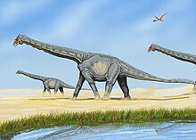 Artist's impression of Alamosaurus, the only known post-hiatus sauropod of North America AlamosaurusDB.jpg