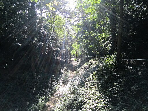 Alum Chine, Bournemouth - panoramio (4)