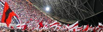 Ajax' supporters during a match of arguably the best football team of the Netherlands.