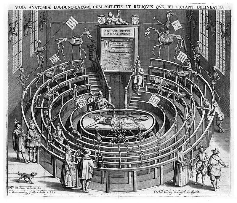 Die Aufklärung 800px-Anatomical_theatre_Leiden