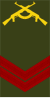 Angola-Armée-OR-4.svg
