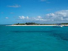 Anguilla Prickly-Pear.jpg