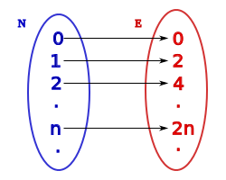 Bijective function from N to the set E of even numbers. Although E is a proper subset of N, both sets have the same cardinality. Aplicacion 2 inyectiva sobreyectiva04.svg