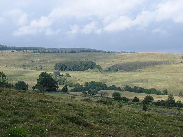 Aubrac