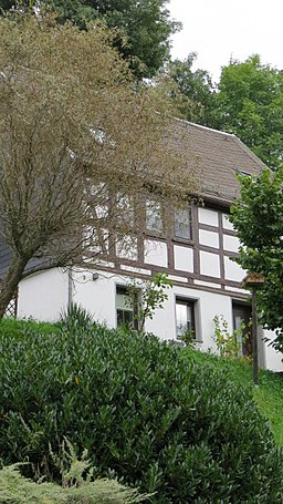 Aue Wildbach Mühlenweg 3 BD 2021-09-25 ama fec (7)