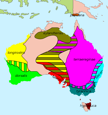 File:Australian Magpie - distribution.svg