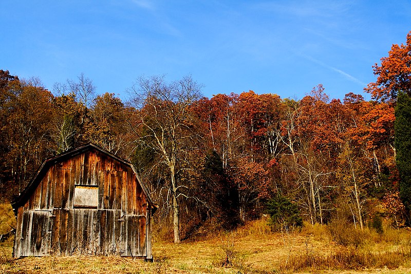 File:Autumn country barn fall leaves sky - West Virginia - ForestWander.jpg