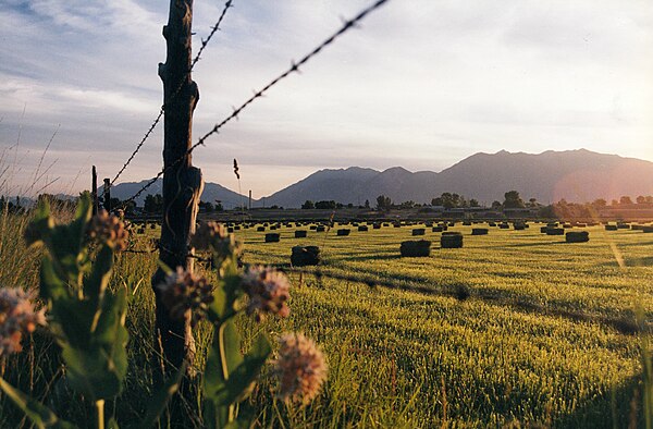 A partial view of Utah Valley seen here from outside of Salem