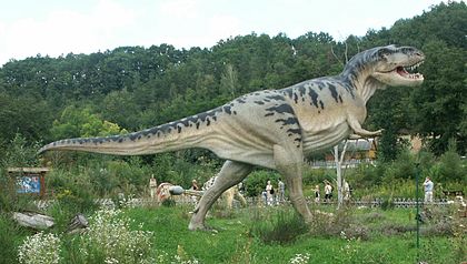 https://upload.wikimedia.org/wikipedia/commons/thumb/f/ff/Baltow%2CPoland_Tyrannosaurus.jpg/420px-Baltow%2CPoland_Tyrannosaurus.jpg