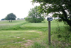 Bathampton Down - geograph.org.uk - 190802.jpg