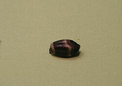 Bead from Khojaly in Hermitage.jpg