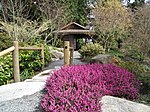 Bellevue Botanical Garden Bridge.JPG