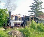 Loco no. 30 Chanderli in Binzen