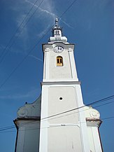 Biserica reformata din Viisoara (9).JPG