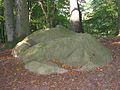 English: glacial drift boulder Deutsch: Findling