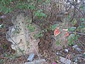 Neglected Cossacks' graves