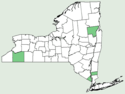 Boltonia asteroides var asteroides NY-dist-map.png