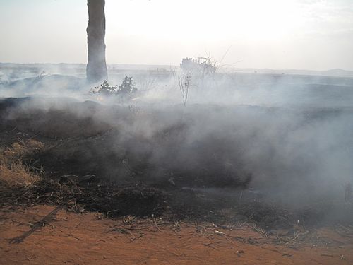 feu de brousse Bongolava Madagascar