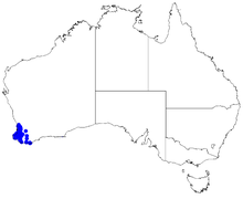 Boronia fastigiata DistMap42.png