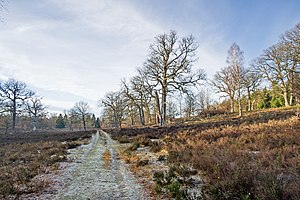 View from the east into the Breeser Grund