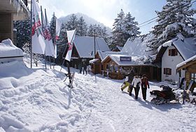 Brezovica (Ştrpce)