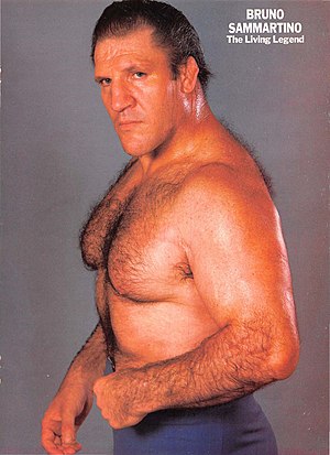 Bruno Sammartino