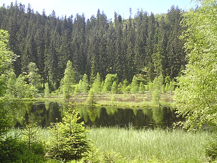 Buhlbachsee Buhlbachsee.JPG