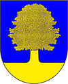 Brasão de armas de Bukovina nad Labem
