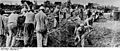 Bundesarchiv Bild 183-81950-0001, KZ Sachsenhausen, Häftlinge bei Erdarbeiten.jpg