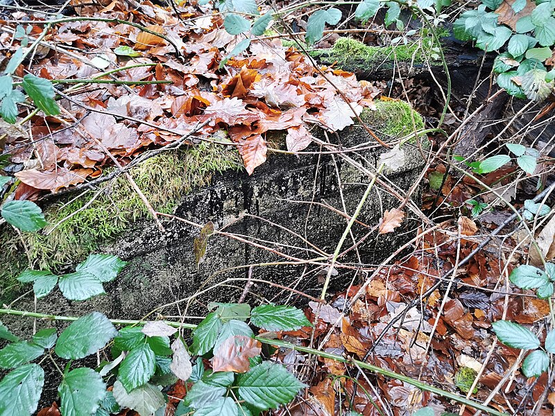 File:Bunker 8 Büdingen (2).jpg