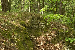 Burgstall Hartenfels - Letzter sichtbarer Mauerrest der Ringmauer der Hauptburg (März 2012)