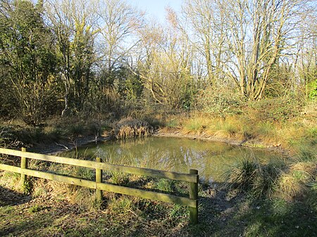 Buriton Chalk Pit 08