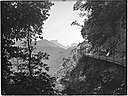 Caminho suspenso na Floresta da Tijuca, ao fundo, a Pedra da Gávea.jpg