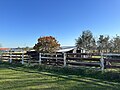 A rural scene in Luddenham