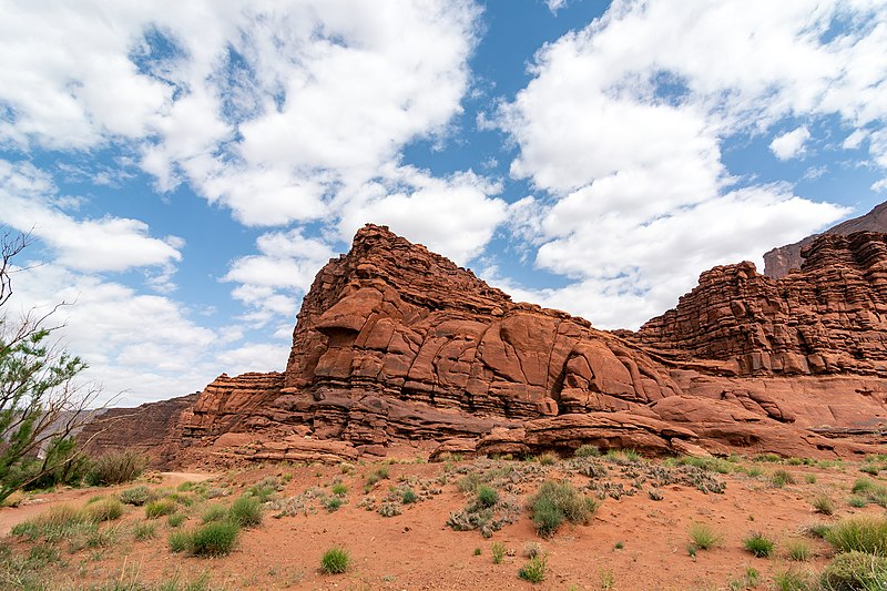 File:Canyonlands National Park - 52190950875.jpg